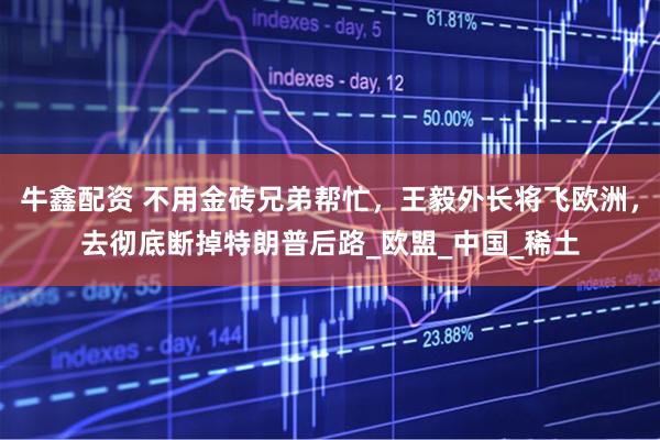 牛鑫配资 不用金砖兄弟帮忙，王毅外长将飞欧洲，去彻底断掉特朗普后路_欧盟_中国_稀土