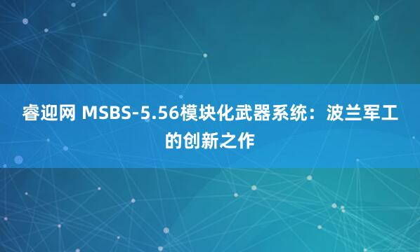睿迎网 MSBS-5.56模块化武器系统：波兰军工的创新之作