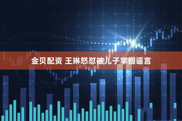 金贝配资 王琳怒怼被儿子掌掴谣言