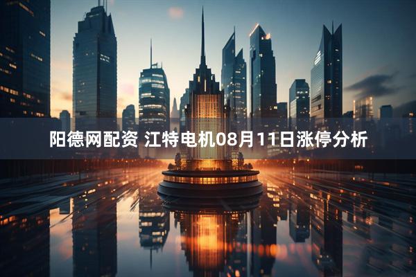 阳德网配资 江特电机08月11日涨停分析
