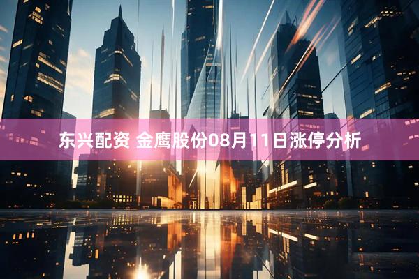 东兴配资 金鹰股份08月11日涨停分析