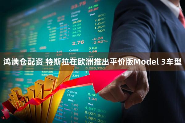 鸿满仓配资 特斯拉在欧洲推出平价版Model 3车型